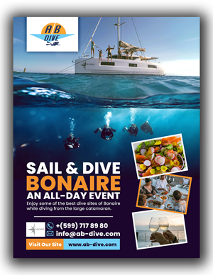 Flyer Design by nguruzzdng for AB Dive | Design: #31322763