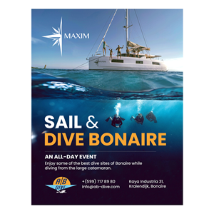 Flyer Design by debdesign for AB Dive | Design: #31336720