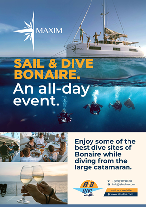 Flyer Design by noeg.hasan for AB Dive | Design: #31335596