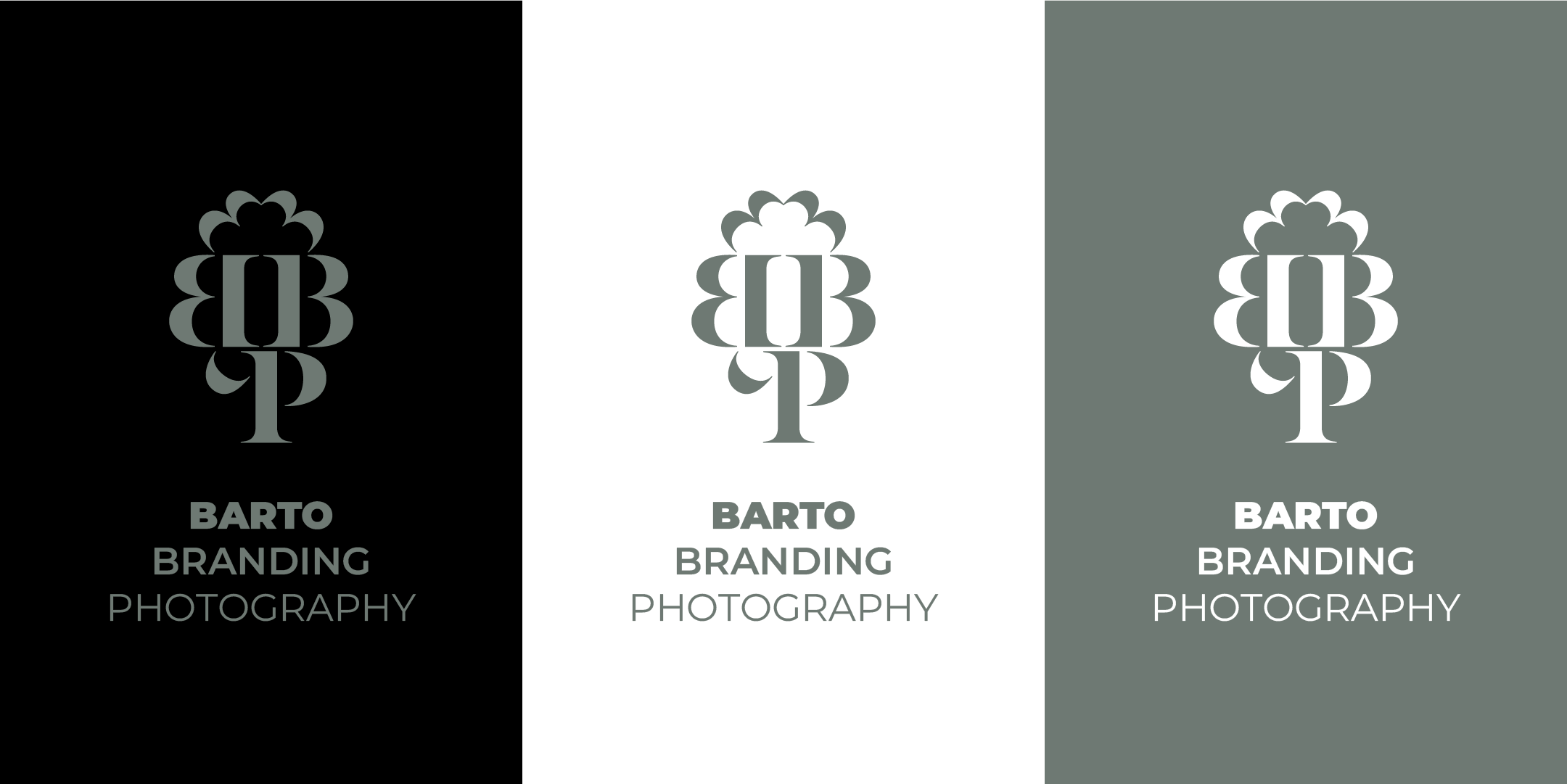 Logo Design by design_by_sandro for this project | Design #31329701
