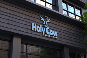 Diseño de Logo por Kavth para este proyecto | Diseño: #31367902