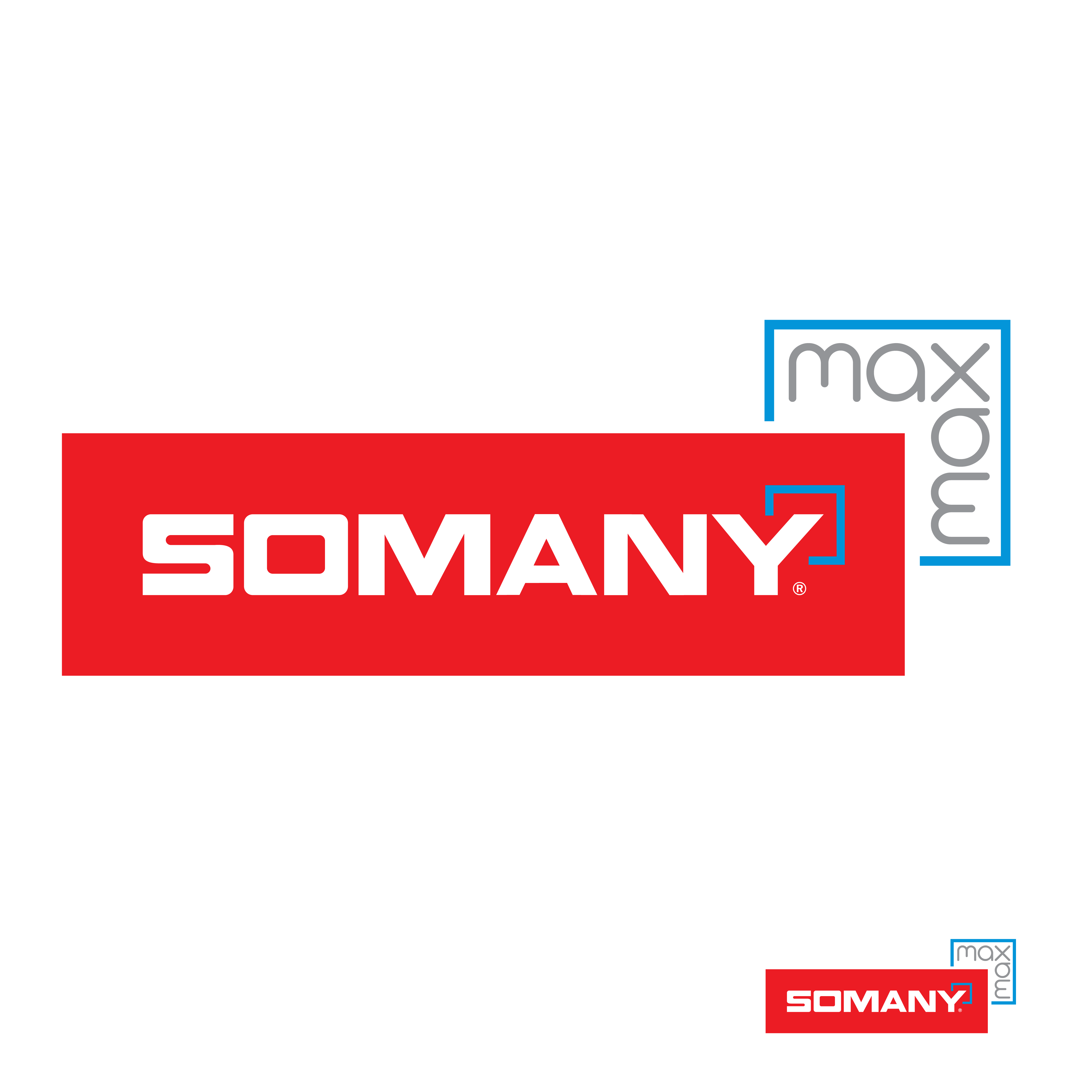 Logo Design by WholeBranding® for this project | Design #31378988