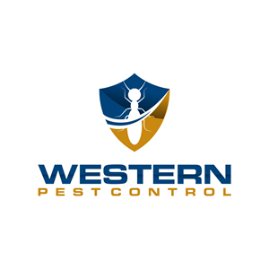 Logo Design by Dyah14