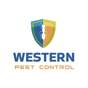 Logo Design by samphix