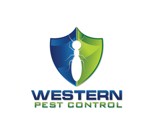 Logo Design by Nova_Create