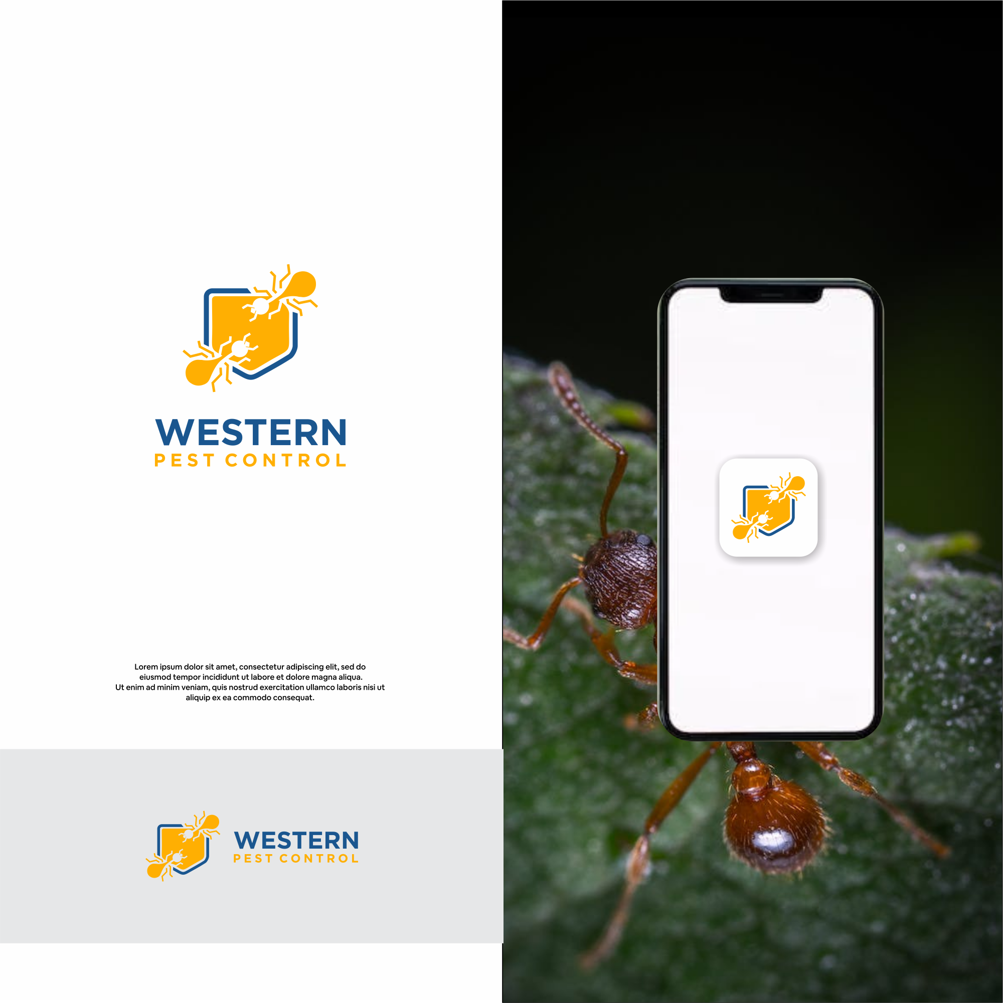 Diseño de Logo por DesignFirst para este proyecto | Diseño #31351964