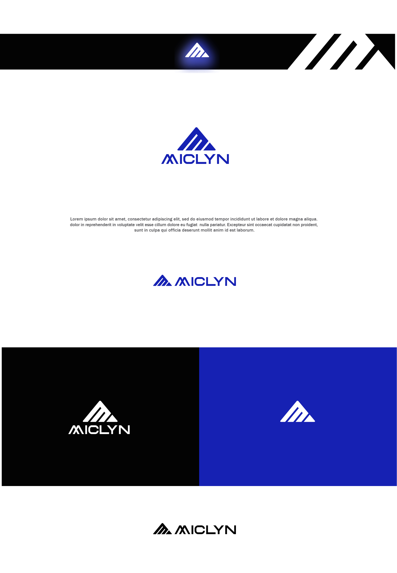 Logo Design by saifysyed Studio for Miclyn Inc | Design #31377353