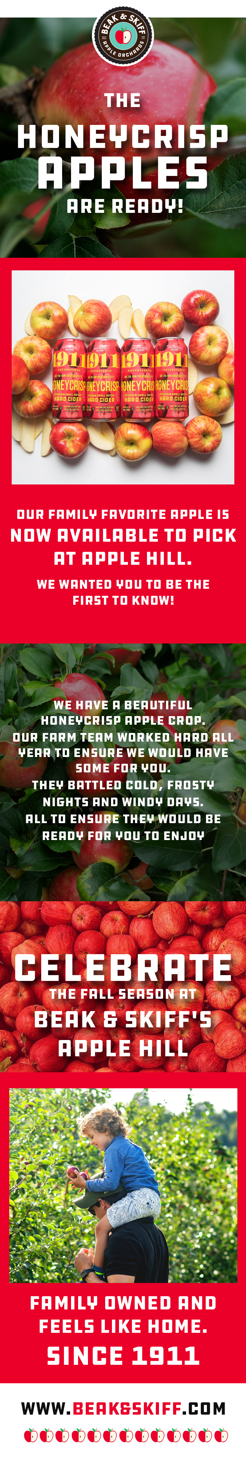 Web Design by Creations Box 2015 for this project | Design #31344830