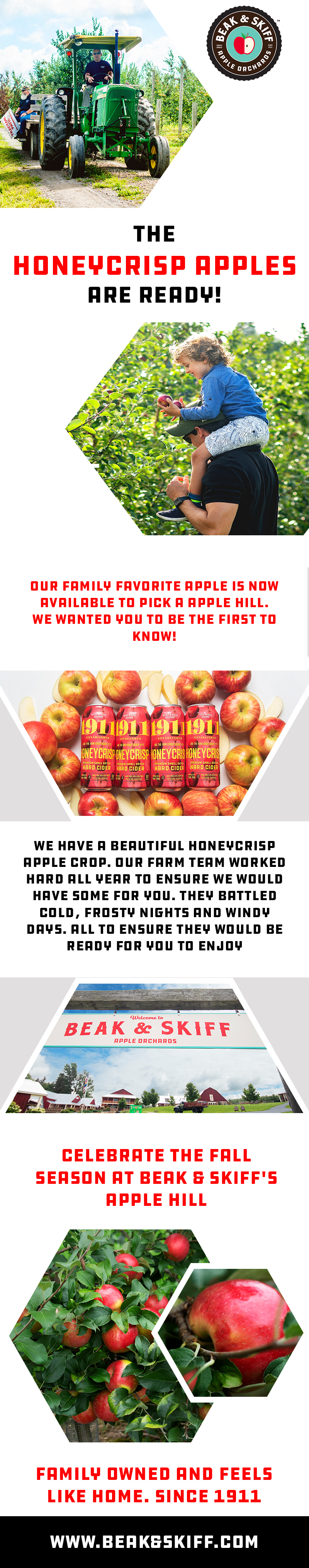 Web Design by Creations Box 2015 for this project | Design #31344846