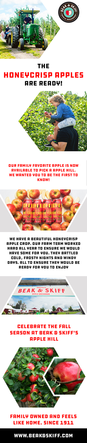 Web Design by Creations Box 2015 for this project | Design: #31344846
