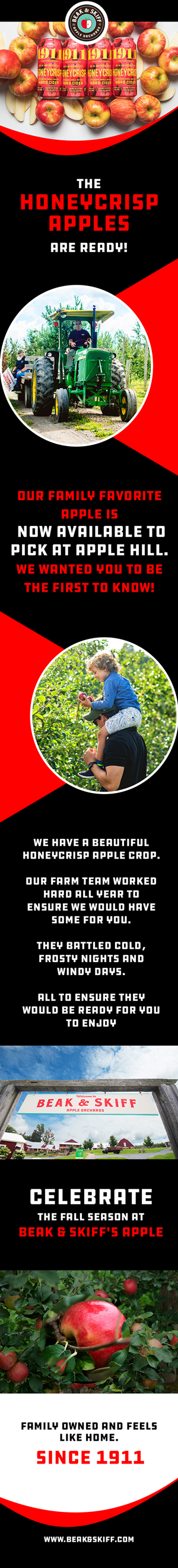 Web Design by Creations Box 2015 for this project | Design: #31345524