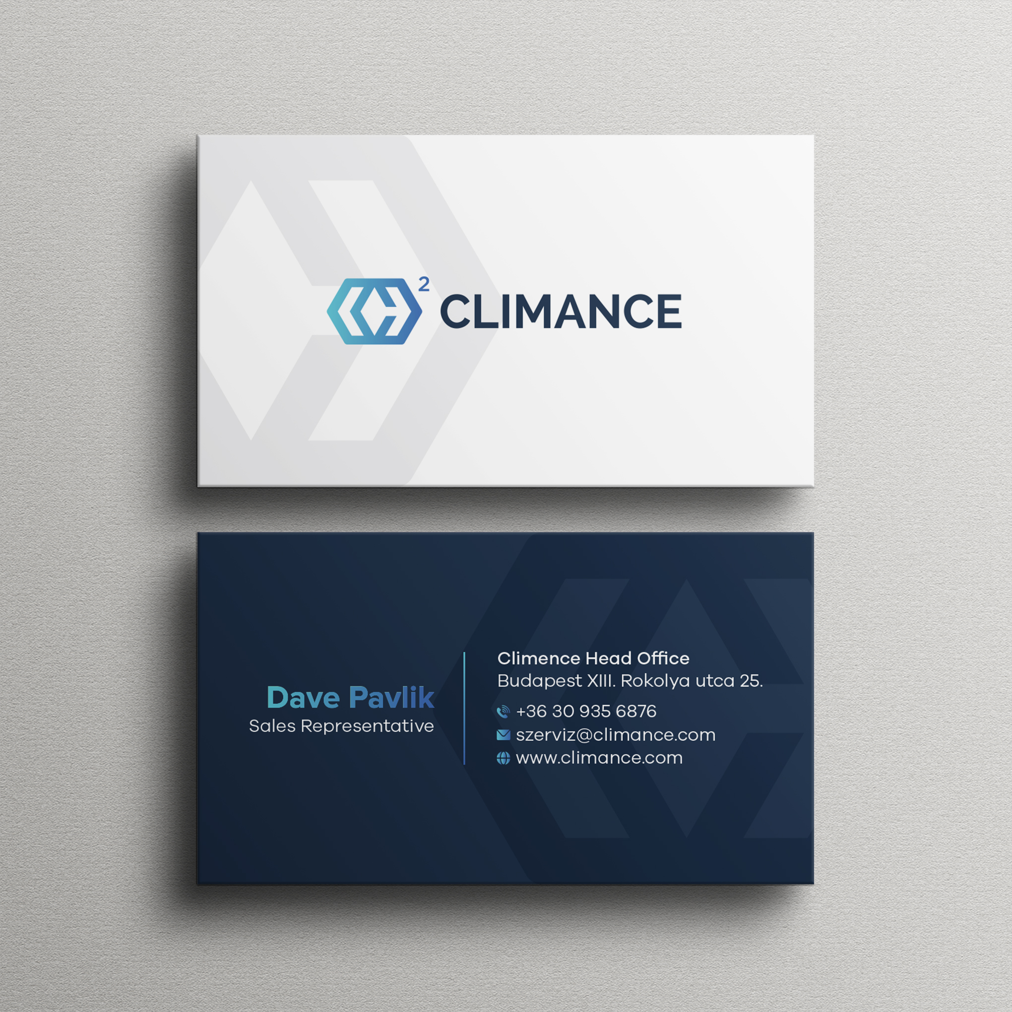 Business Card Design by Bikash Das for this project | Design #31361999