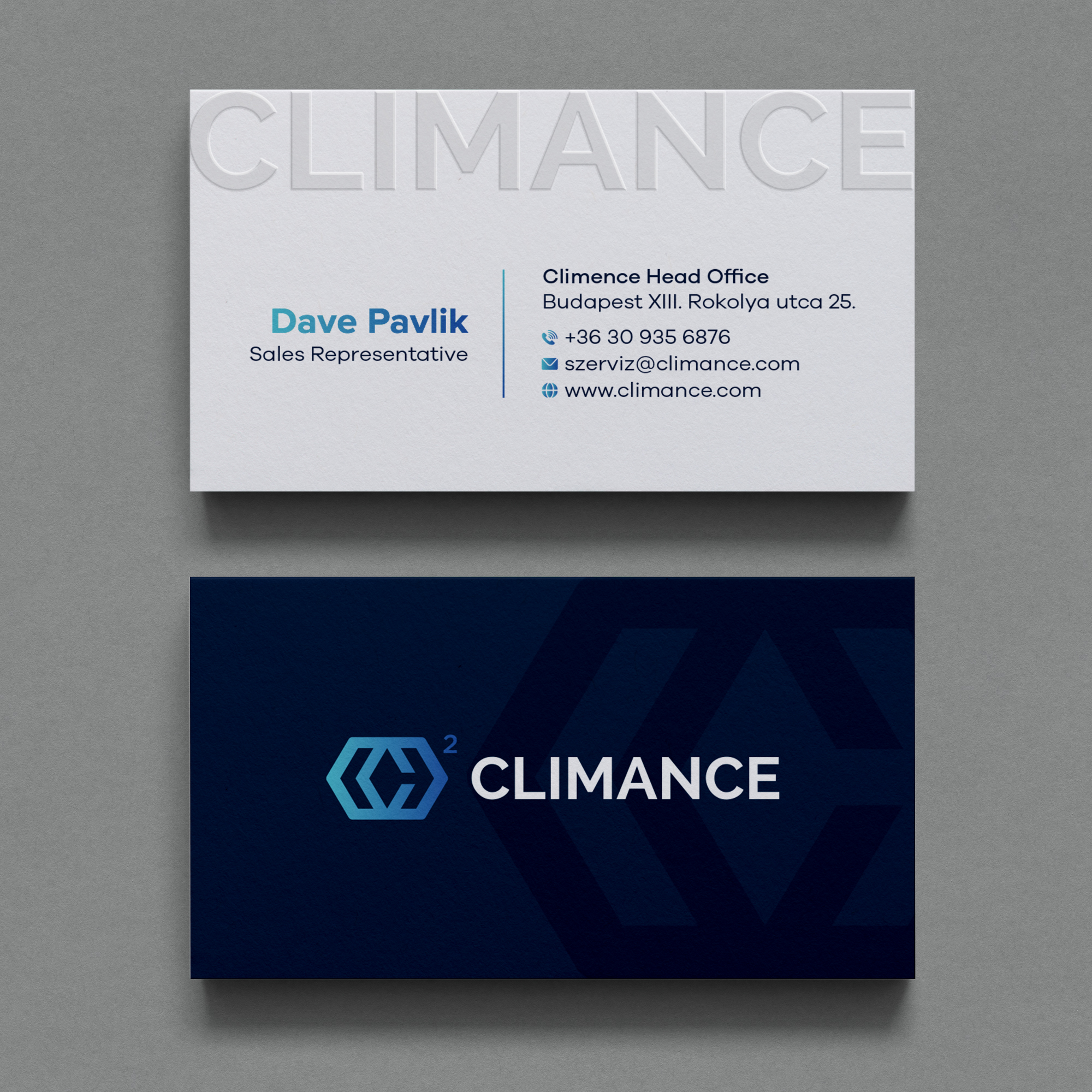 Business Card Design by Bikash Das for this project | Design #31362039