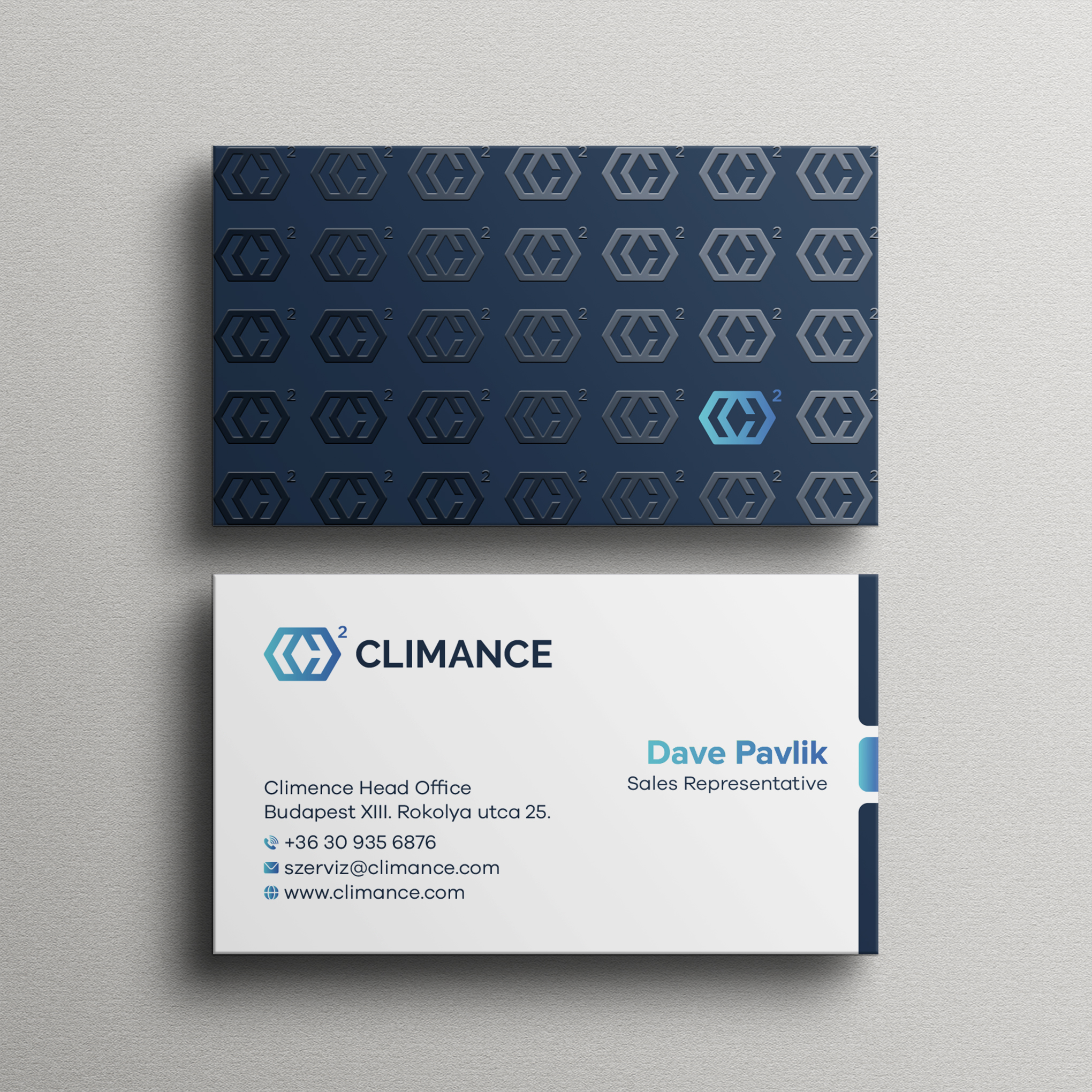 Business Card Design by Bikash Das for this project | Design #31385663