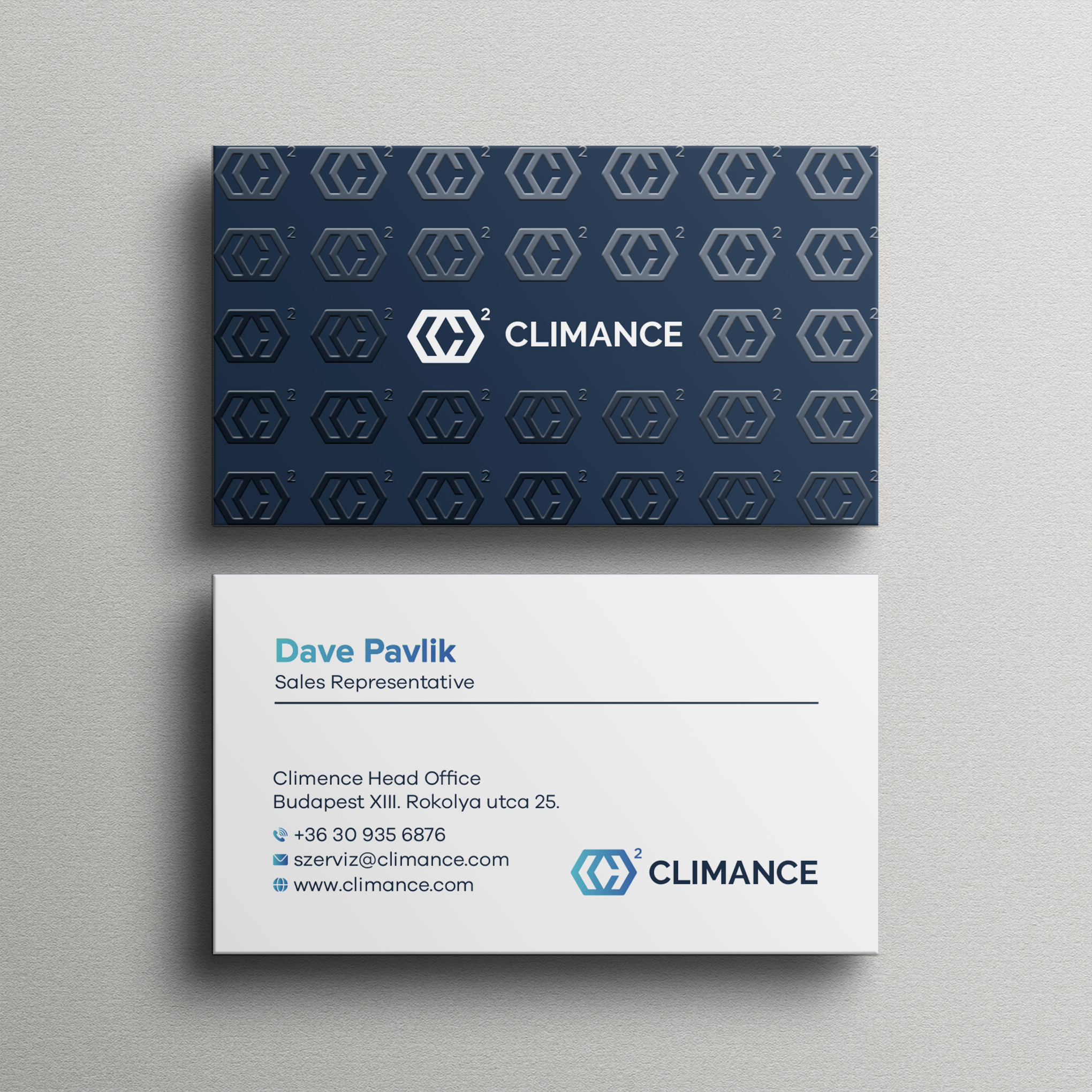 Business Card Design by Bikash Das for this project | Design #31385781