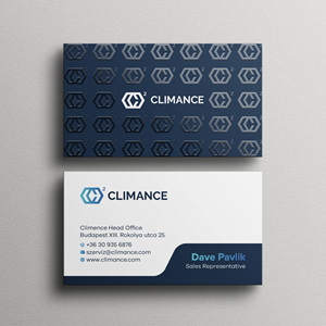 Business Card Design by Bikash Das for this project | Design: #31388876
