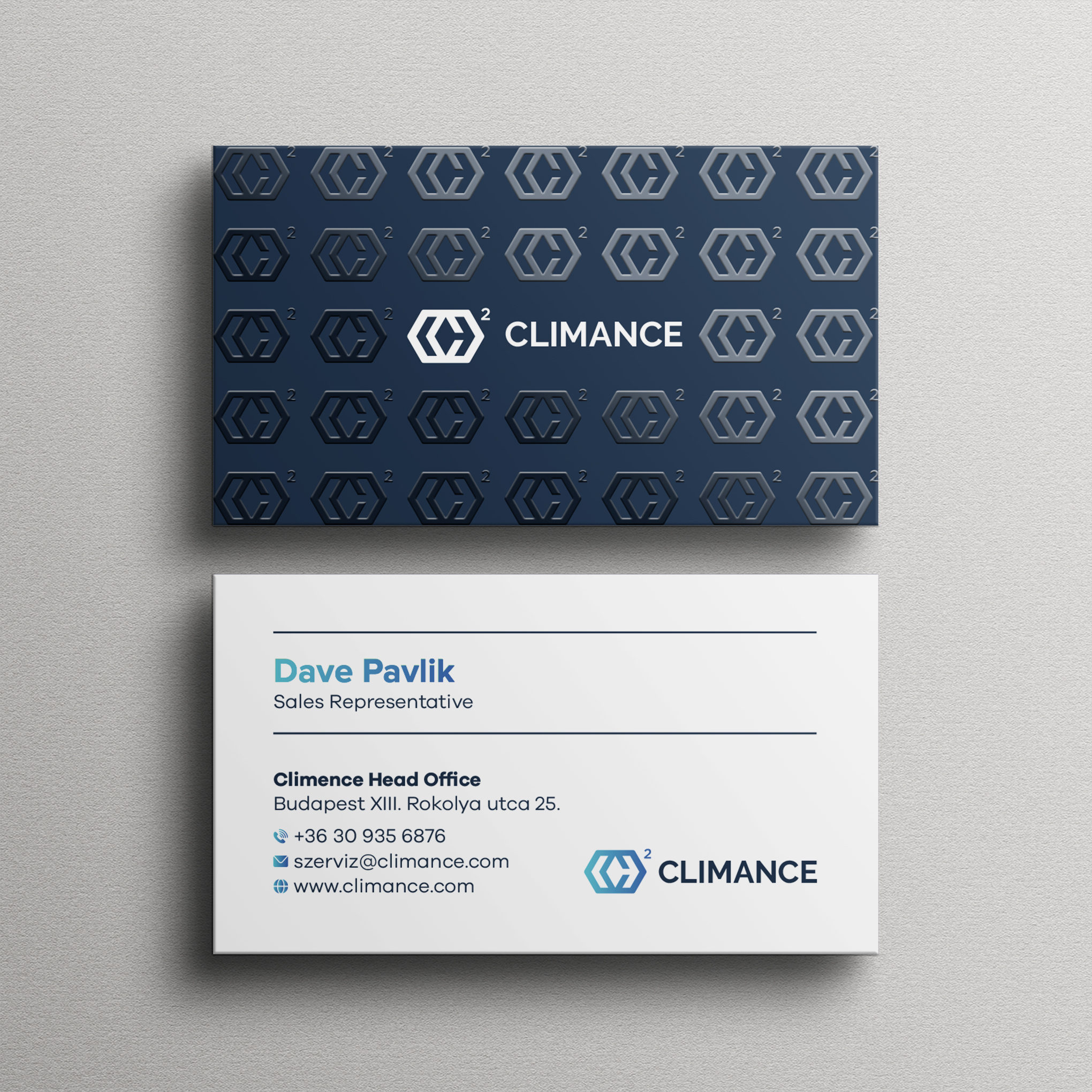 Business Card Design by Bikash Das for this project | Design #31388946