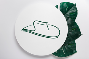 Logo Design by sani purohit
