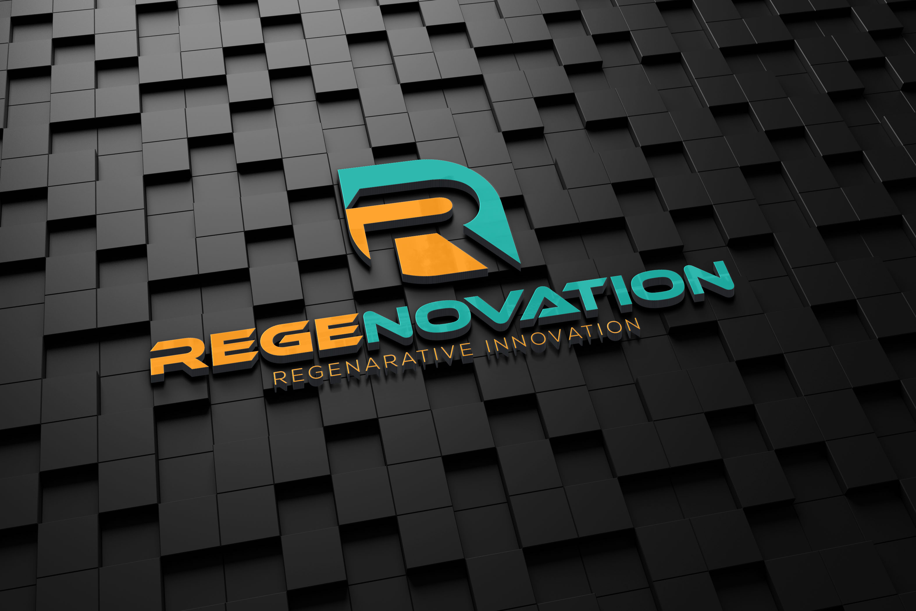 Logo Design by Twin's Studio for this project | Design #31371574