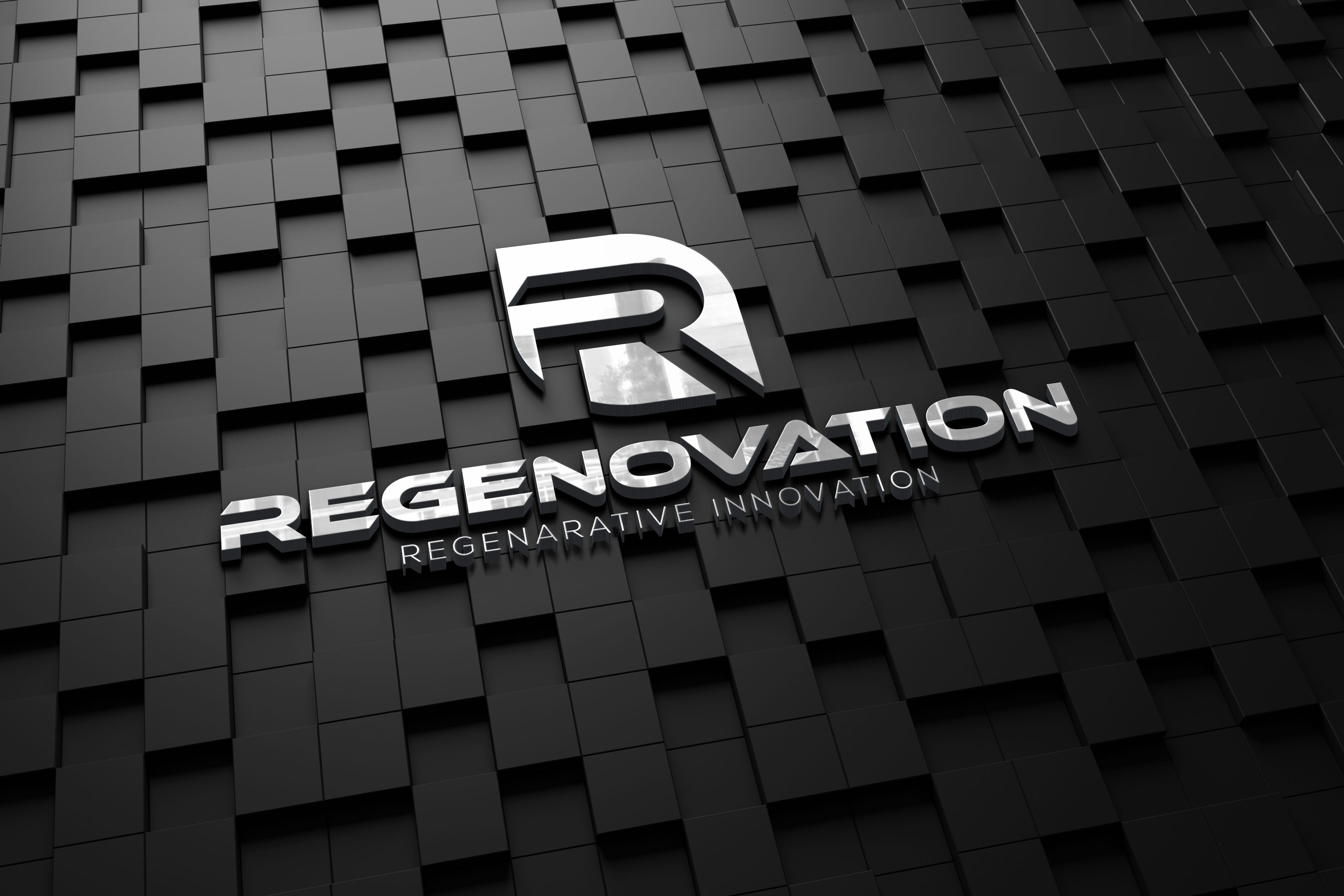 Logo Design by Twin's Studio for this project | Design #31371580