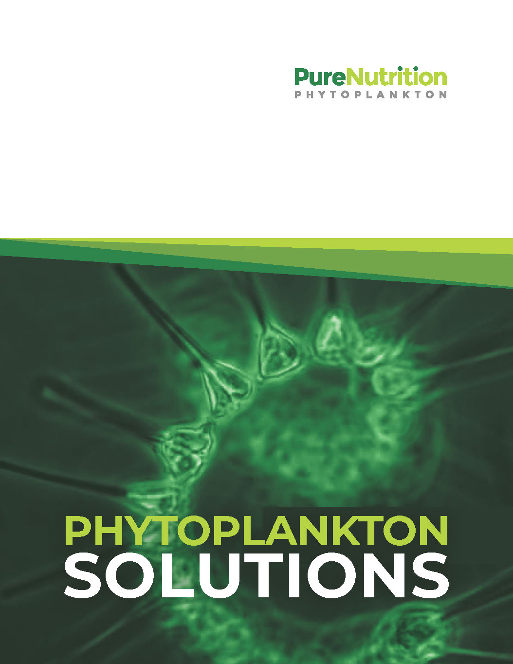 Print Design par PAVOL TOMAN pour ce projet | Design #31376933