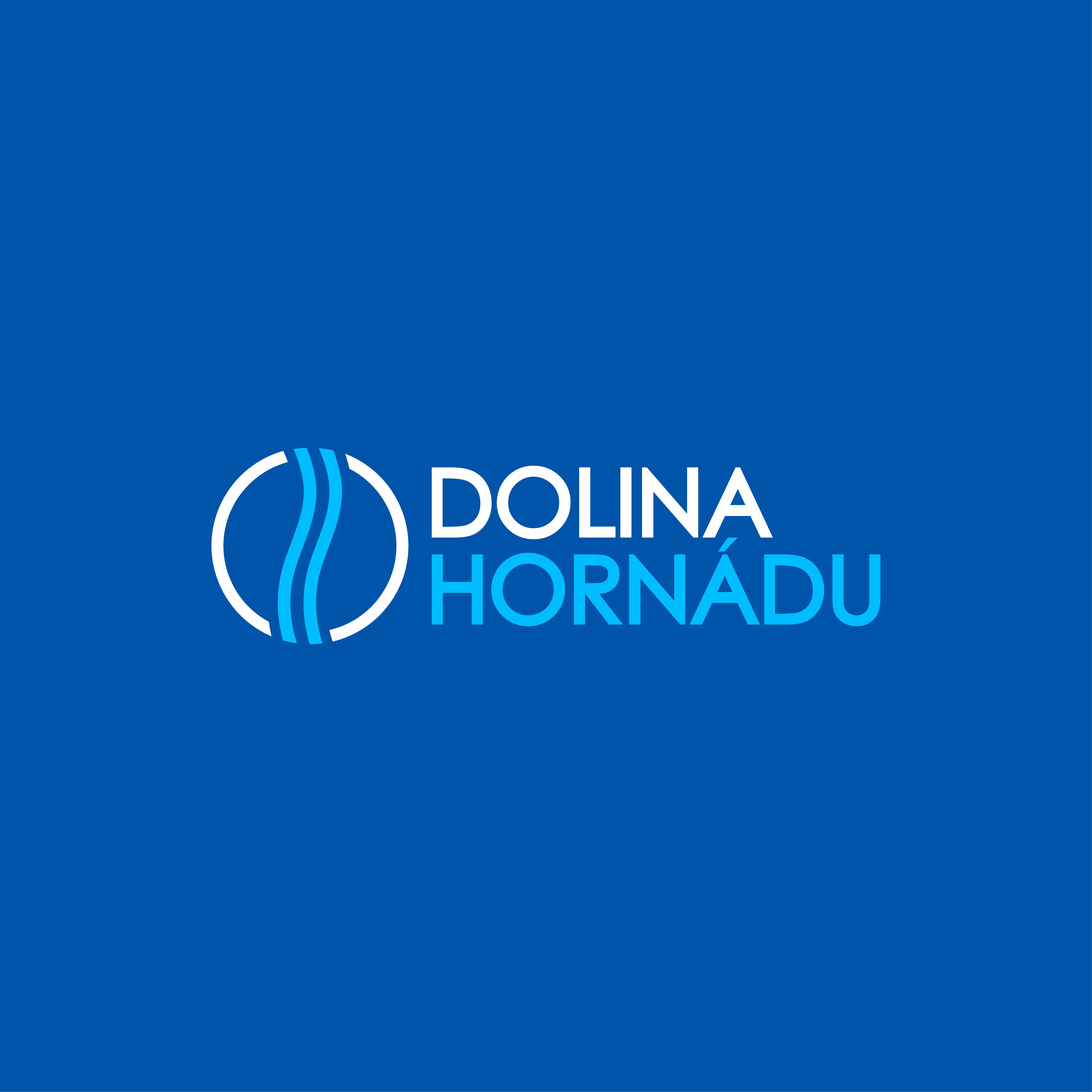 Diseño de Logo por EnigmaArt para este proyecto | Diseño #31477945