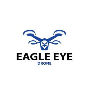 Logo Design by ava art