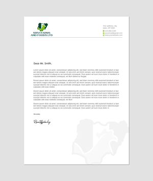 Letterhead Design by Imagine design000