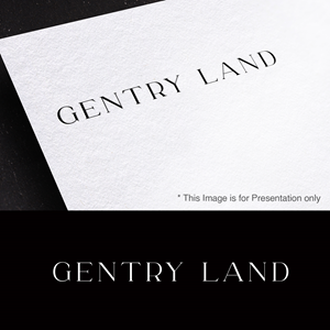 Logo Design by Ahsan Designs