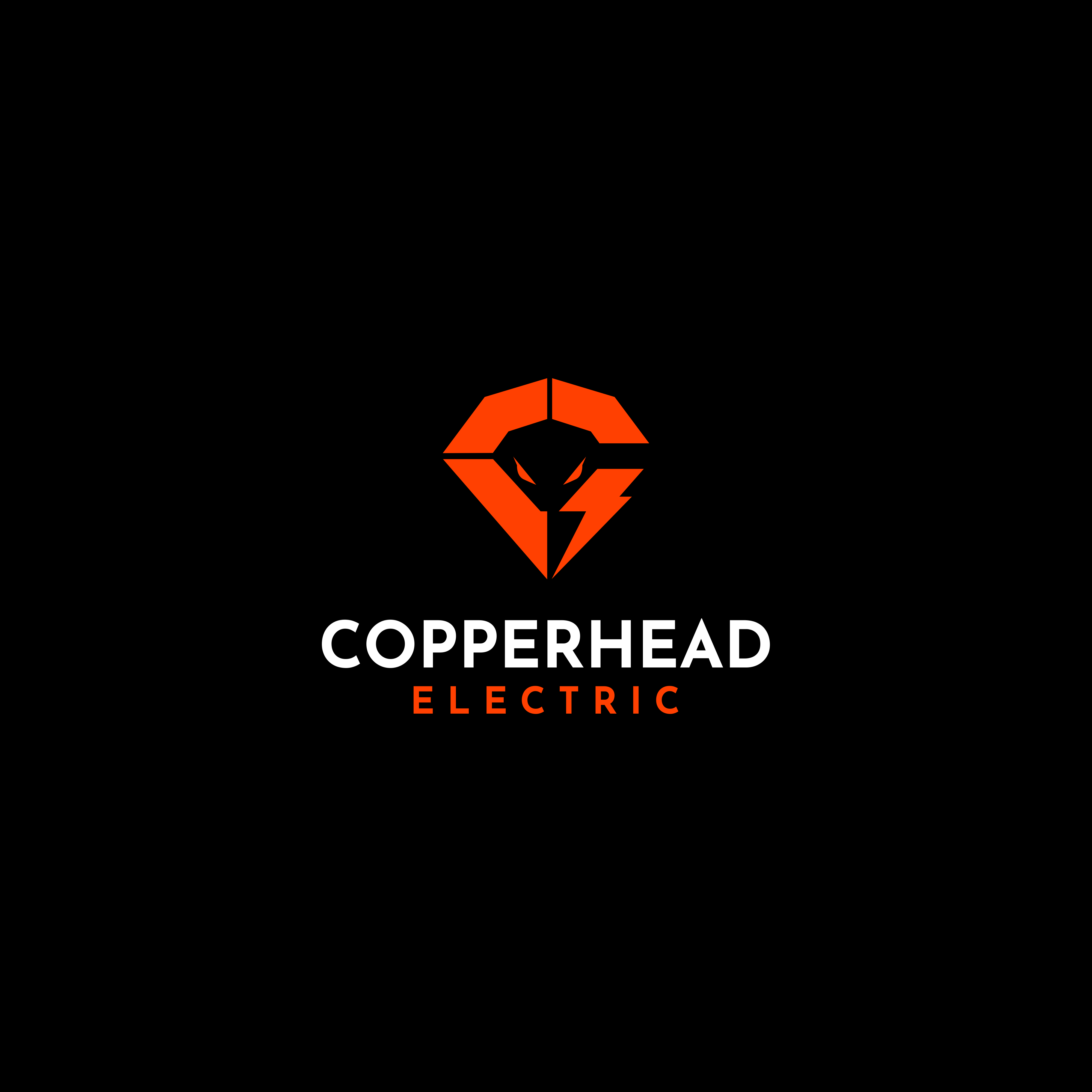 Logo Design by SalmArt26 for this project | Design #31409473