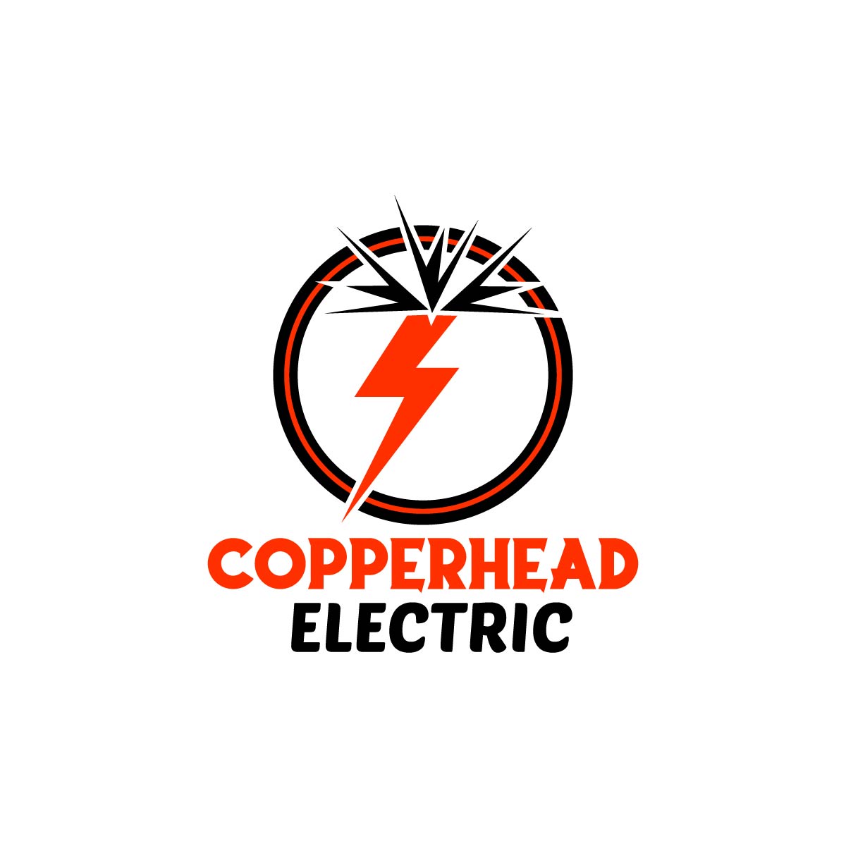 Logo Design by fly  design for this project | Design #31370614