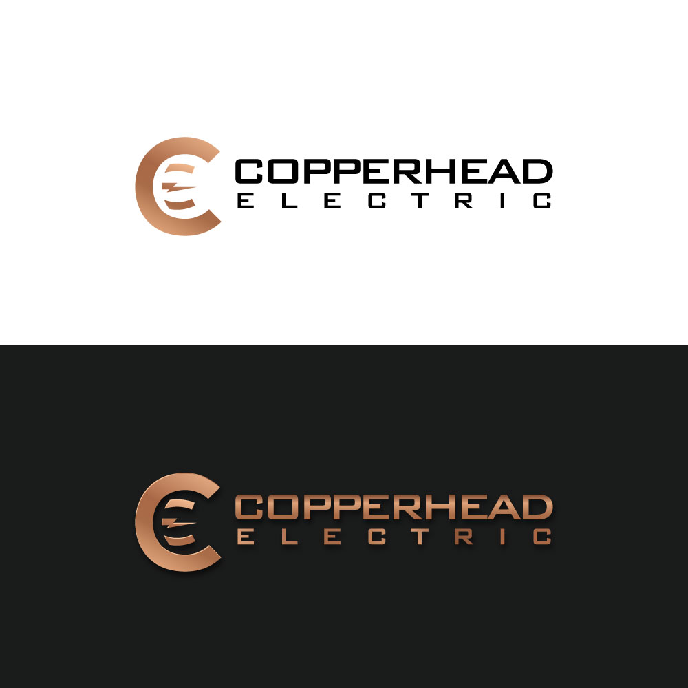 Logo Design by Ansh Design for this project | Design #31370667