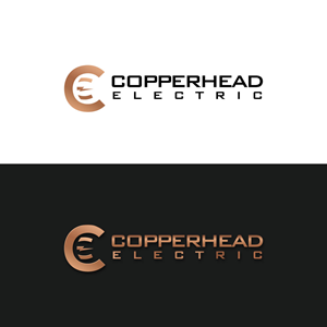 Logo Design by Ansh Design for this project | Design: #31370667