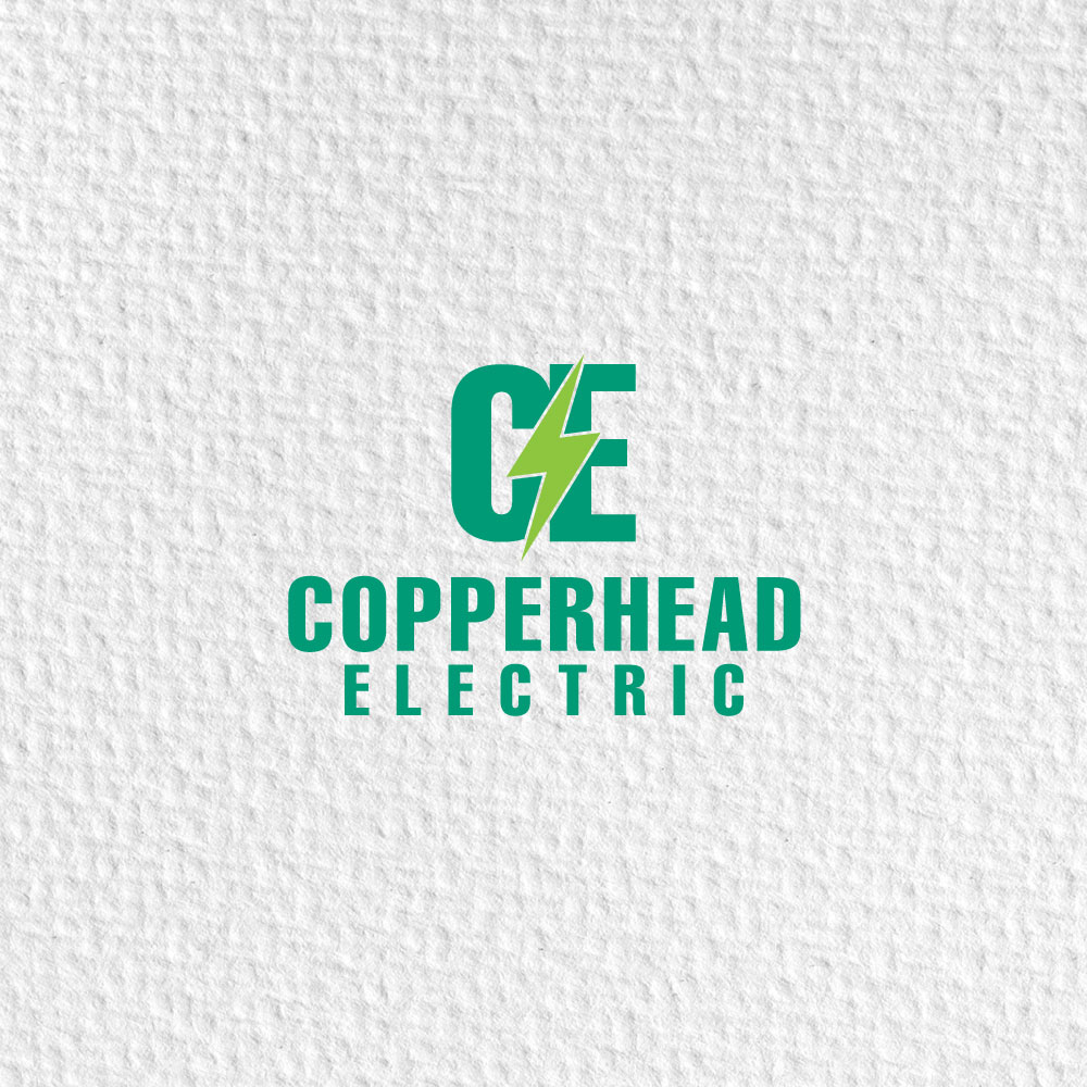 Logo Design by Ansh Design for this project | Design #31370668