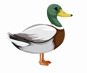 Graphic Design by branding2biz for Bass, Bucks, And Birds | Design: #31413322