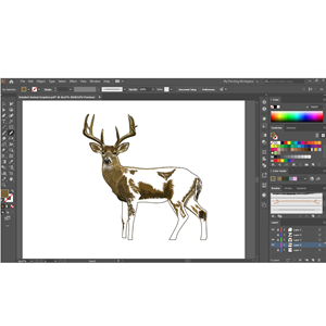 Graphic Design by Artonem for Bass, Bucks, And Birds | Design: #31438765