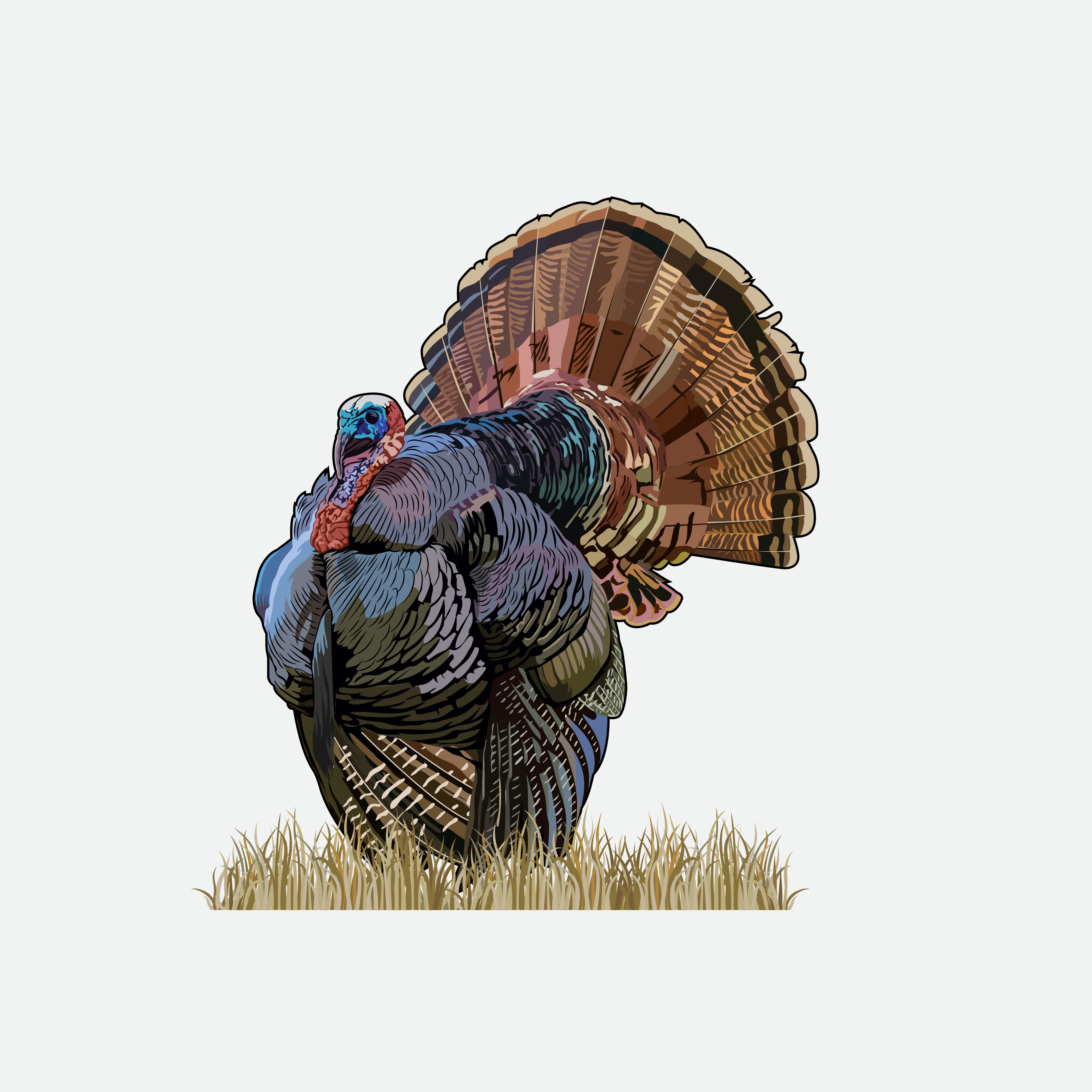 Graphic Design by Artonem for Bass, Bucks, And Birds | Design #31486708