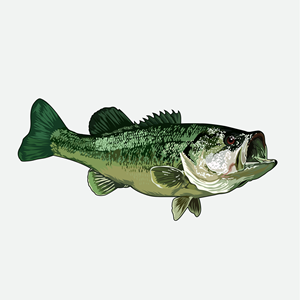 Design Graphique par Artonem pour Bass, Bucks, And Birds | Design : #31486709