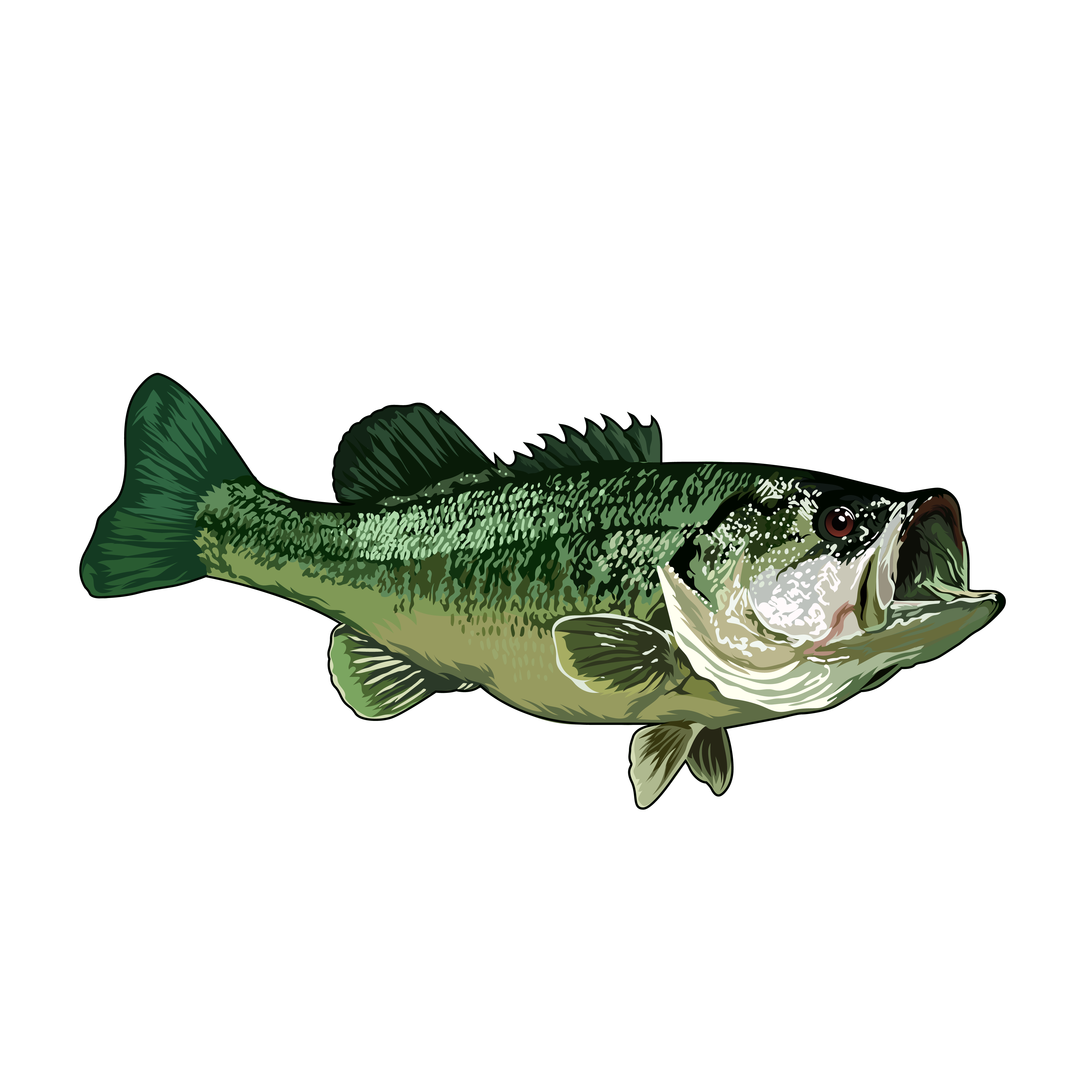 Grafik-Design von Artonem für Bass, Bucks, And Birds | Design #31514065