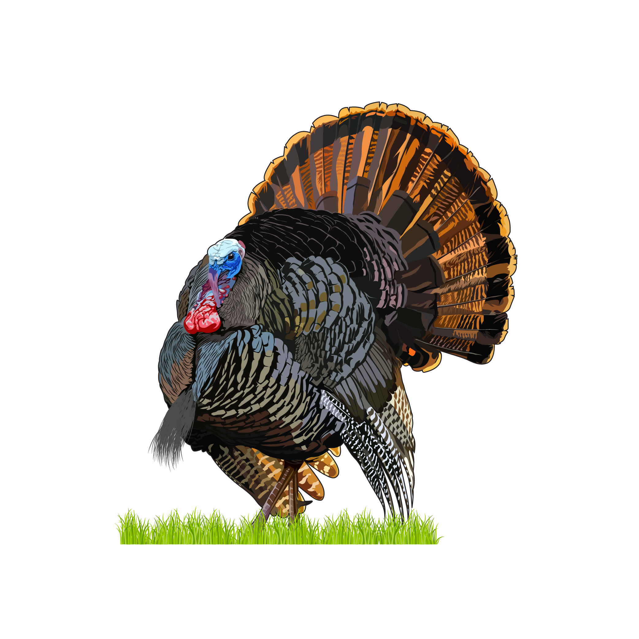 Diseño Gráfico por Artonem para Bass, Bucks, And Birds | Diseño #31514067