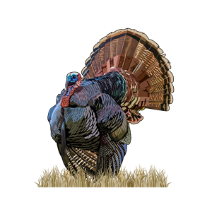 Design Graphique par Artonem pour Bass, Bucks, And Birds | Design : #31514068
