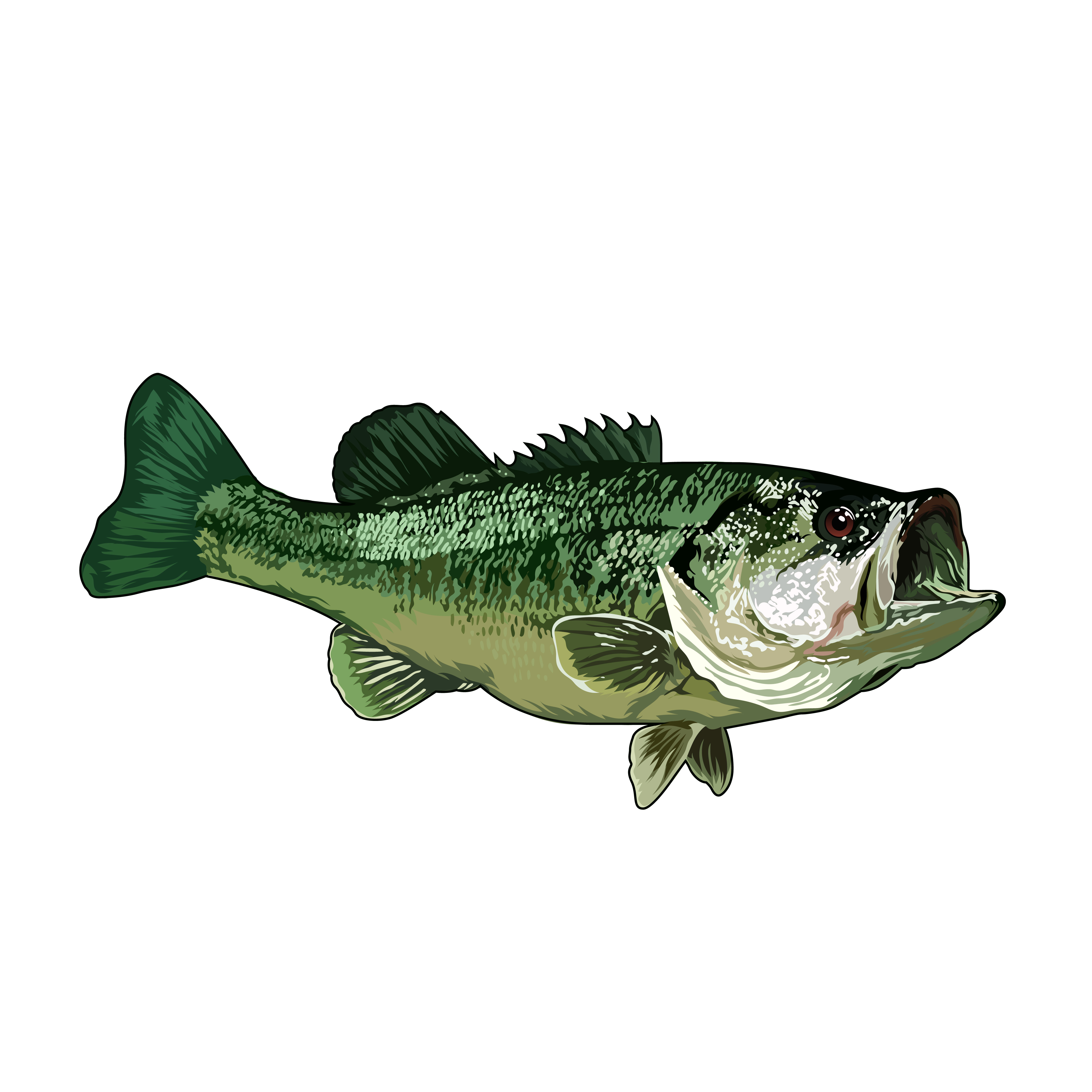 Design Graphique par Artonem pour Bass, Bucks, And Birds | Design #31514078