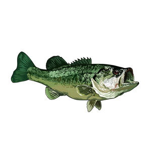 Design Graphique par Artonem pour Bass, Bucks, And Birds | Design : #31514078