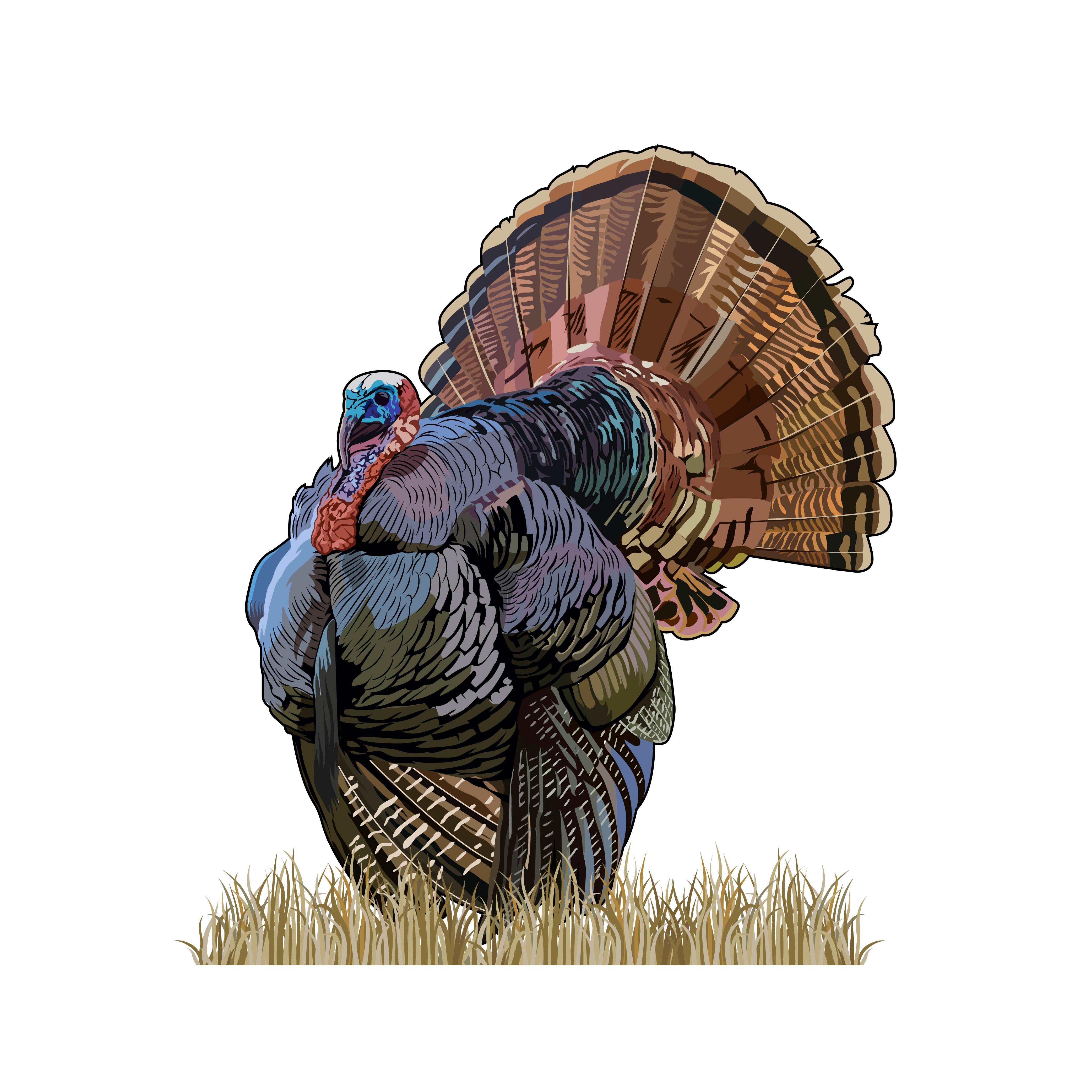 Design Graphique par Artonem pour Bass, Bucks, And Birds | Design #31514081