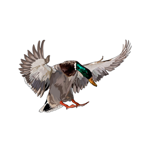 Design Graphique par Artonem pour Bass, Bucks, And Birds | Design : #31514082