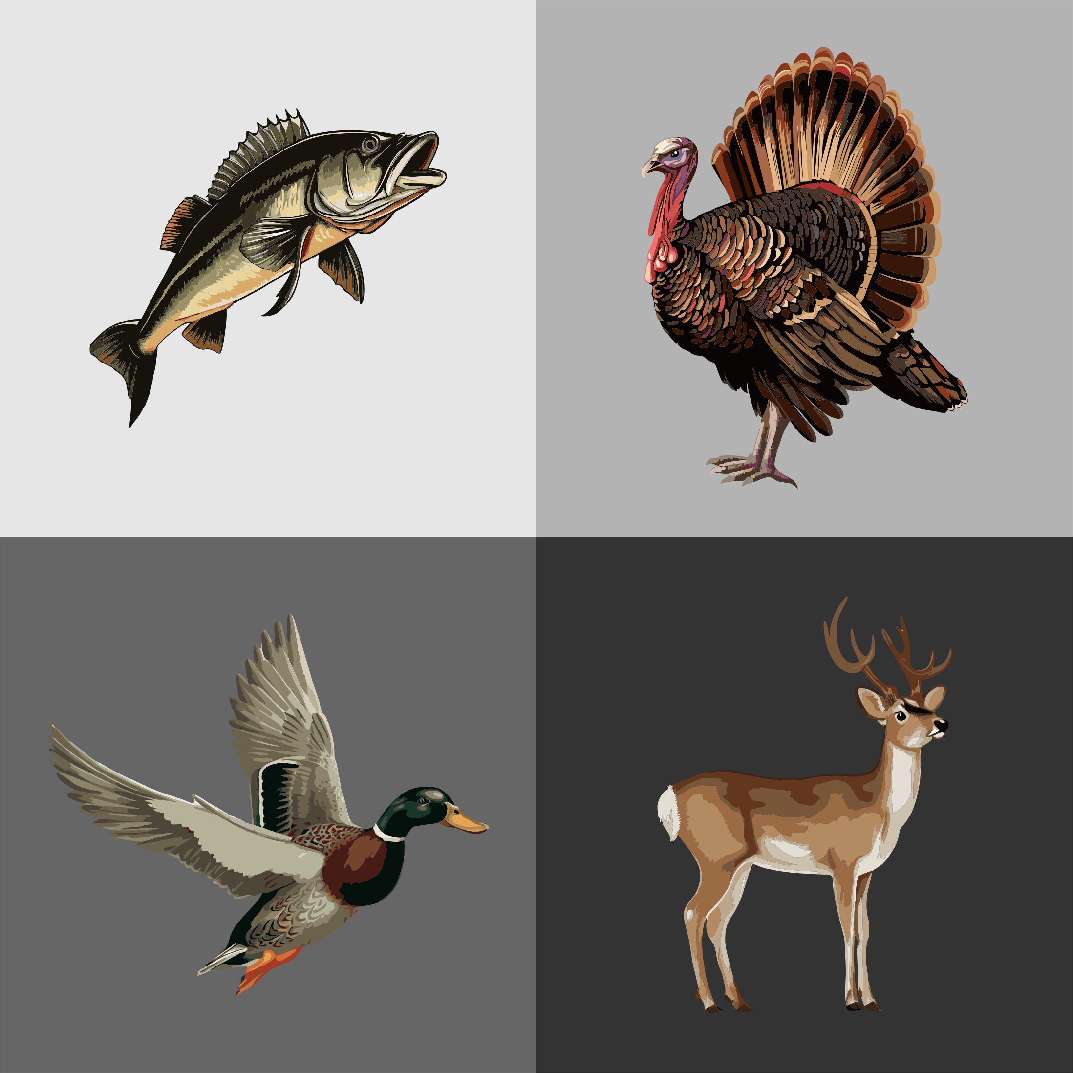 Diseño Gráfico por erikdesign para Bass, Bucks, And Birds | Diseño #31373118