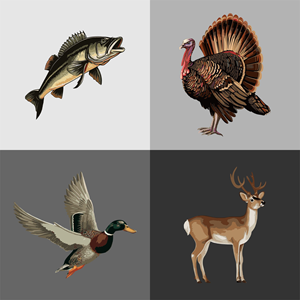 Graphic Design by erikdesign