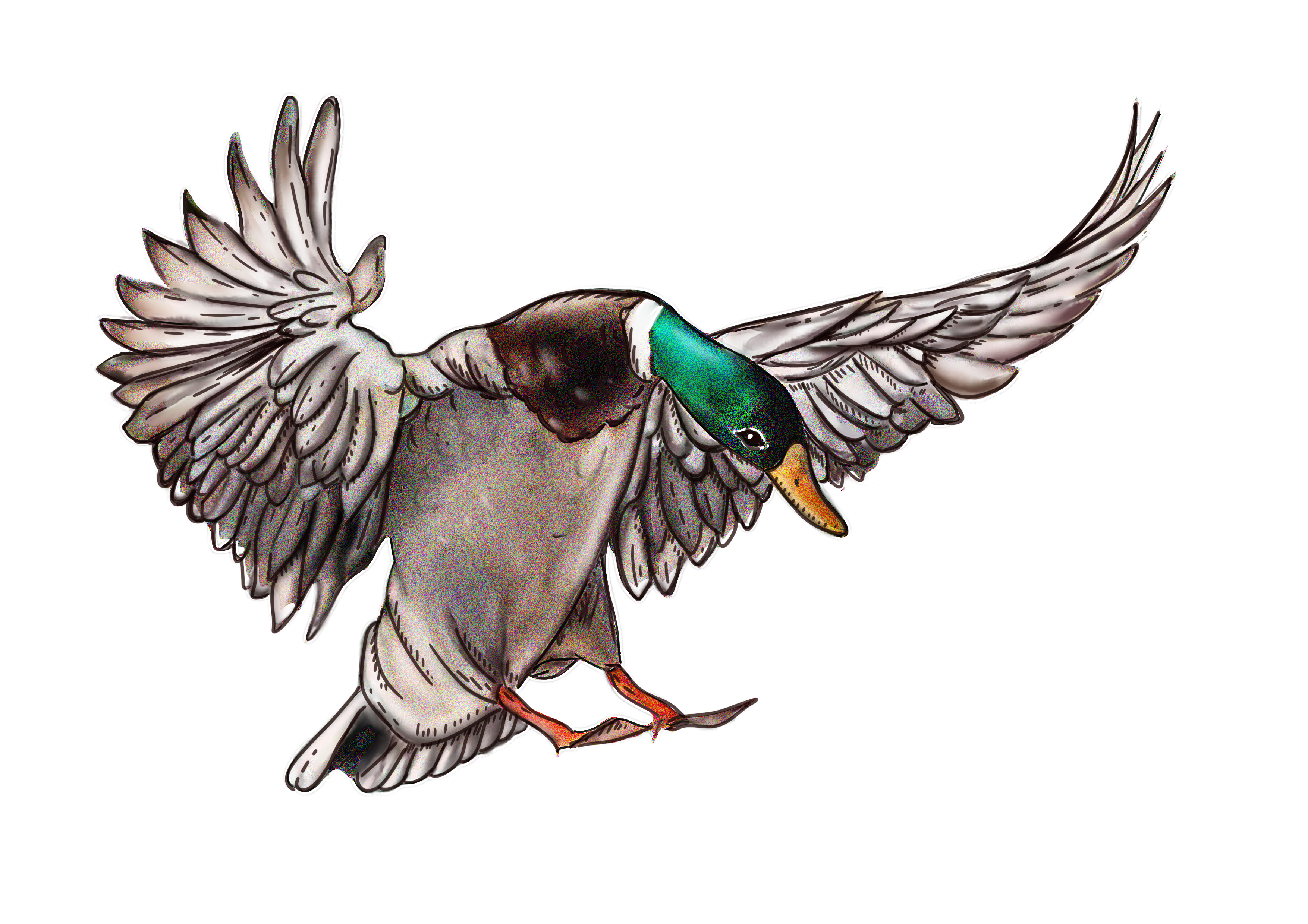 Design Graphique par Mavis Goh pour Bass, Bucks, And Birds | Design #31442745