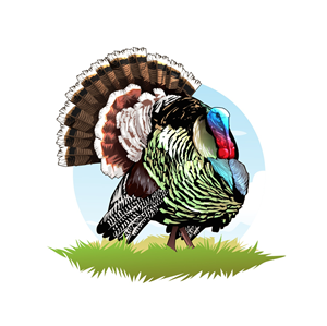 Design Graphique par Sobisss pour Bass, Bucks, And Birds | Design #31445430