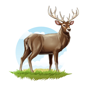 Design Graphique par Sobisss pour Bass, Bucks, And Birds | Design : #31445431